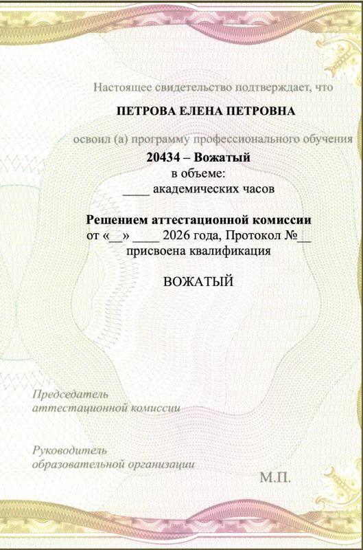 Свидетельства о профессии рабочего, должности служащего «Вожатый»